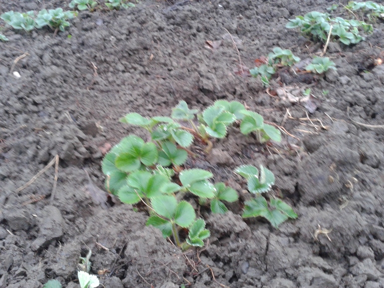 Ранняя весна