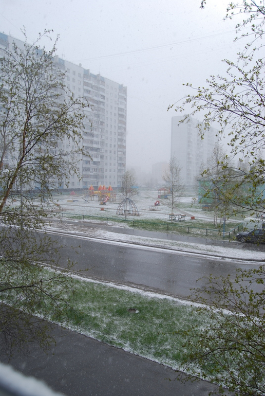 Утро нашего дня...