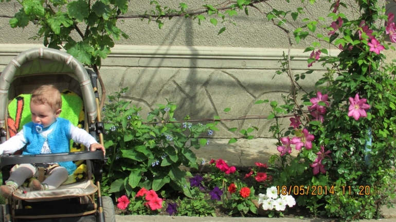 Урожай клубничный...Мише 9 месяцев