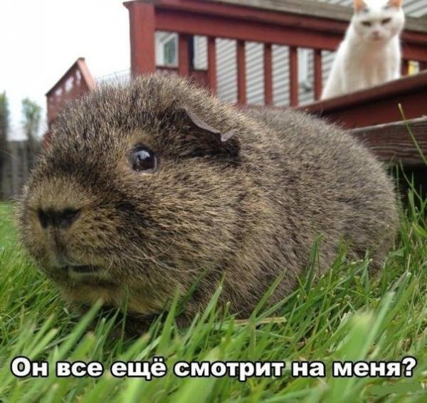 Улыбайся, улыбайся...)))