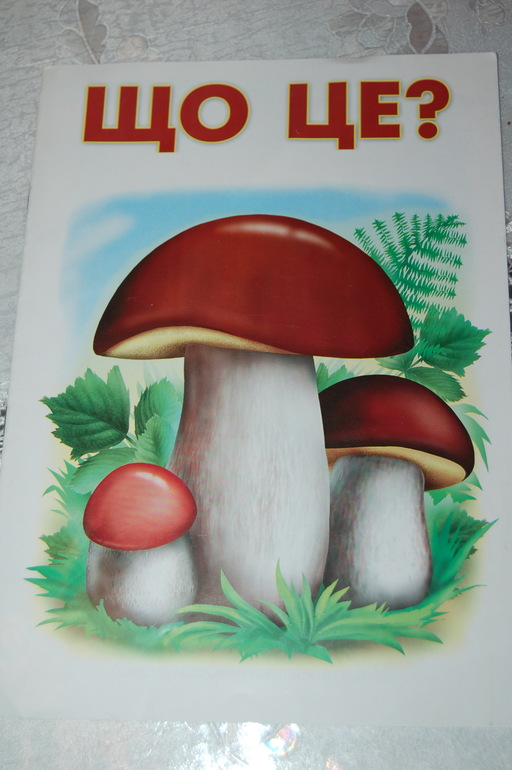 ТЗ по сказке Сутеева " Живые грибы"