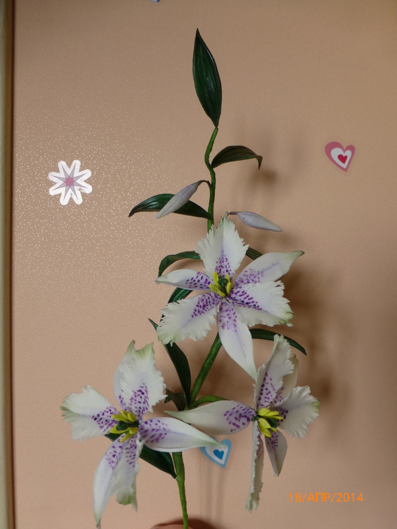 Моя первая самостоятельная веточка лилии Номохарис!