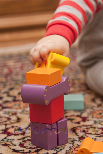 Животные, Djeco