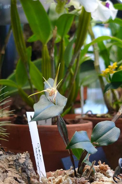 Кто куда? Кусочек лета посреди морозной зимы