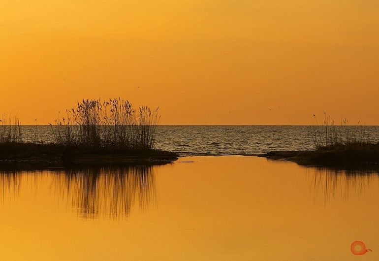 Кто куда? Фестиваль