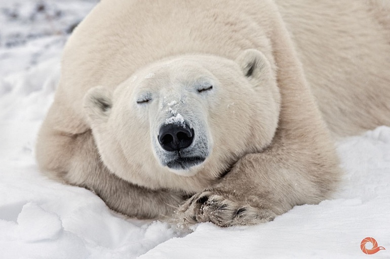 Кто куда? Фестиваль