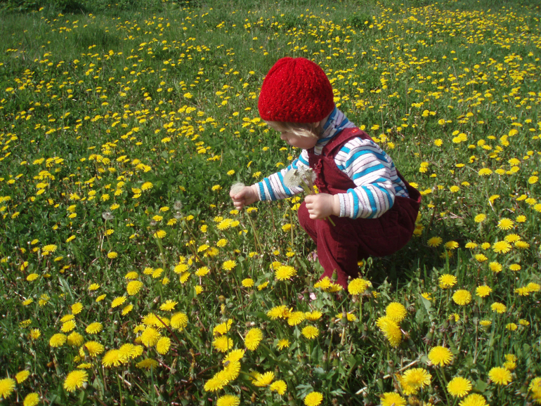 Наши будни у бабушки Гали (часть 2)