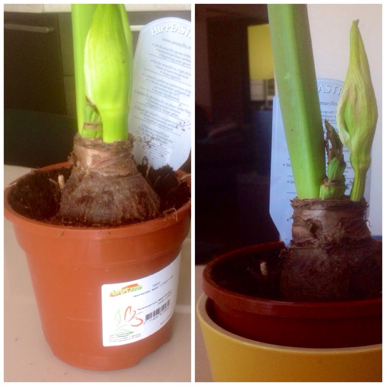 Что-то делаю не так(((