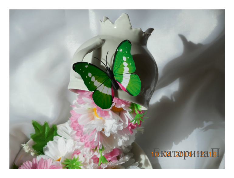 Чашечка для обмена.