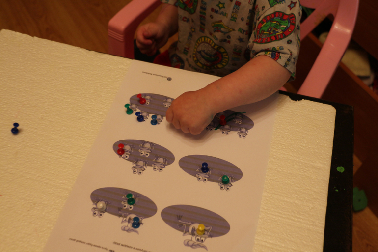 Отчет Лягушка