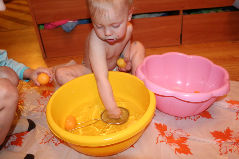 Отчет Лягушка