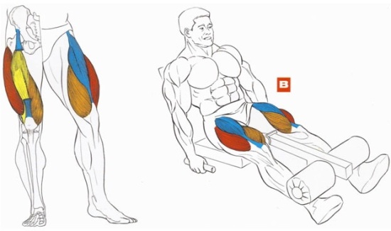 Первые шаги