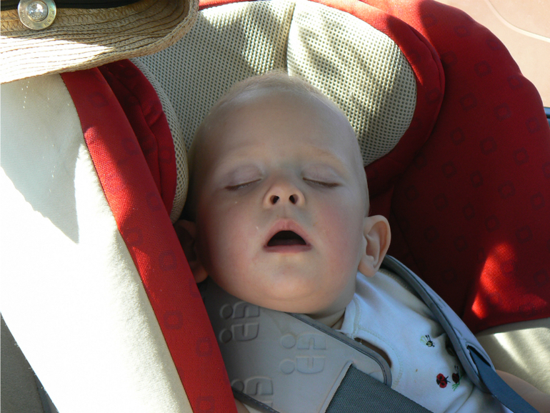 Мишка и Альтаир.