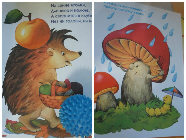 ТЗ по В. Сутеев "Живые грибы"