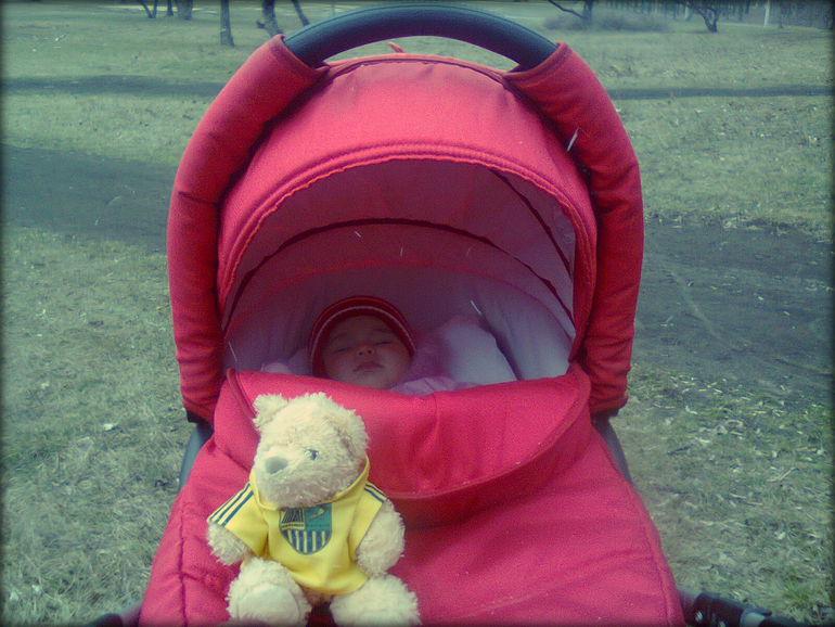 Наши прогулки (накопленные фотки)