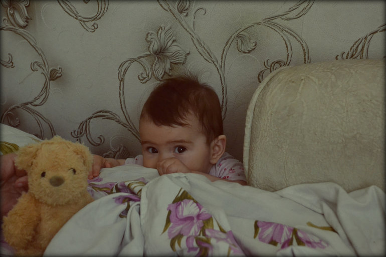 Утро в медвежьем бору