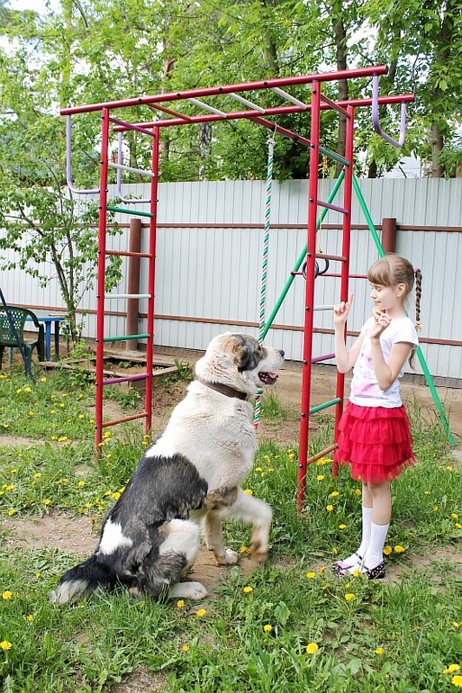 Доча и алабайчик))