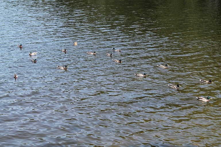 На речке 03.06.14г.