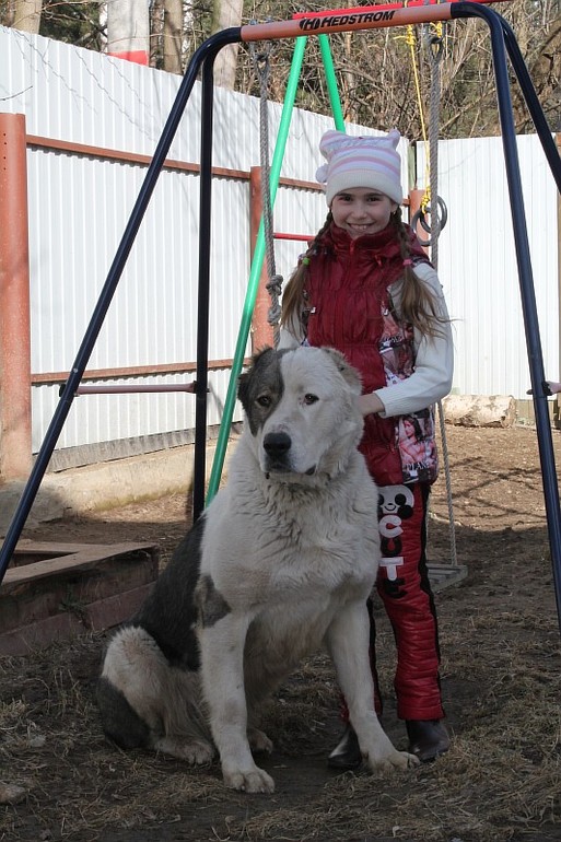 Настоящие друзья. 05.04.14г