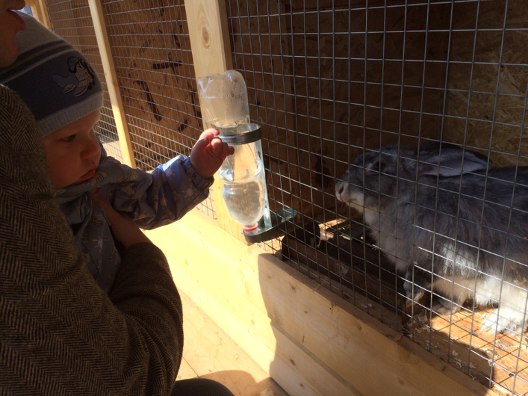 Национальный конный парк Русь