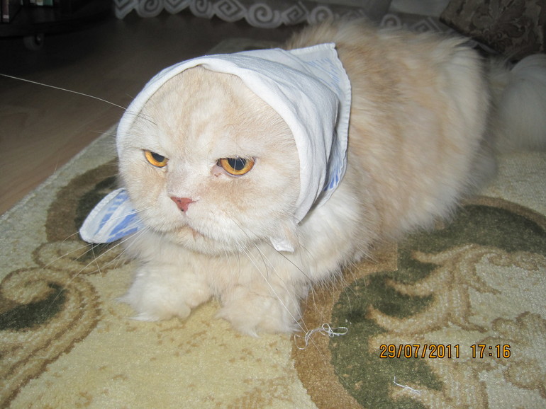 А вот мой красавец мужчина!!!