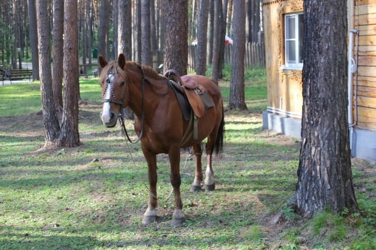 Томская Писаница! что соскучилась я по ней... (утомительный пост)