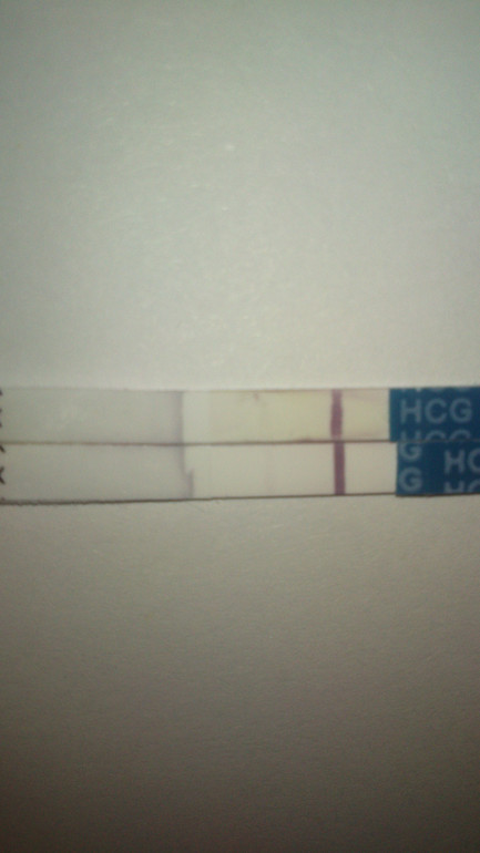 Не дождалась утра)