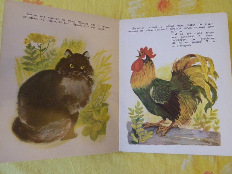 Назад в прошлое...