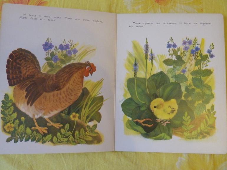 Назад в прошлое...