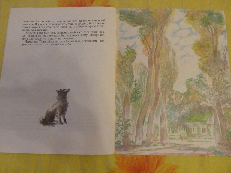 Назад в прошлое...