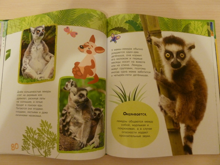 А началось все с курочки рябы;)