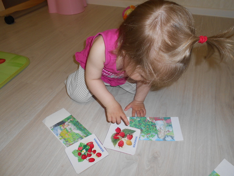 ТЗ Красный цвет. Ягоды