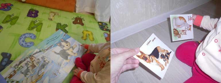 Заключительный день фм