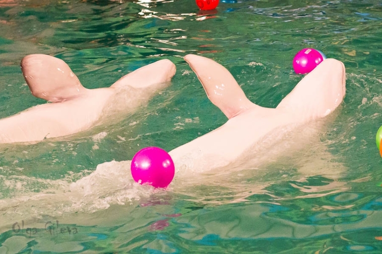 Морское в Екатеринбурге.