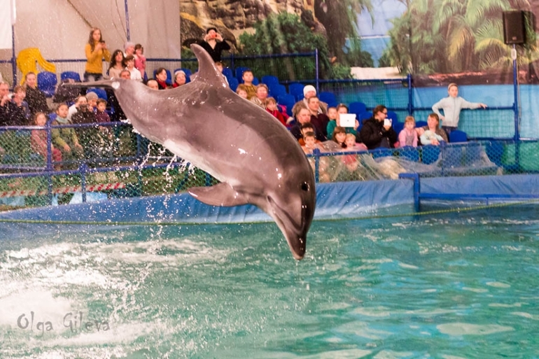 Морское в Екатеринбурге.