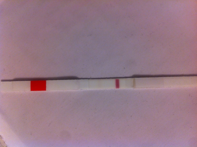 9-10 дпо фото