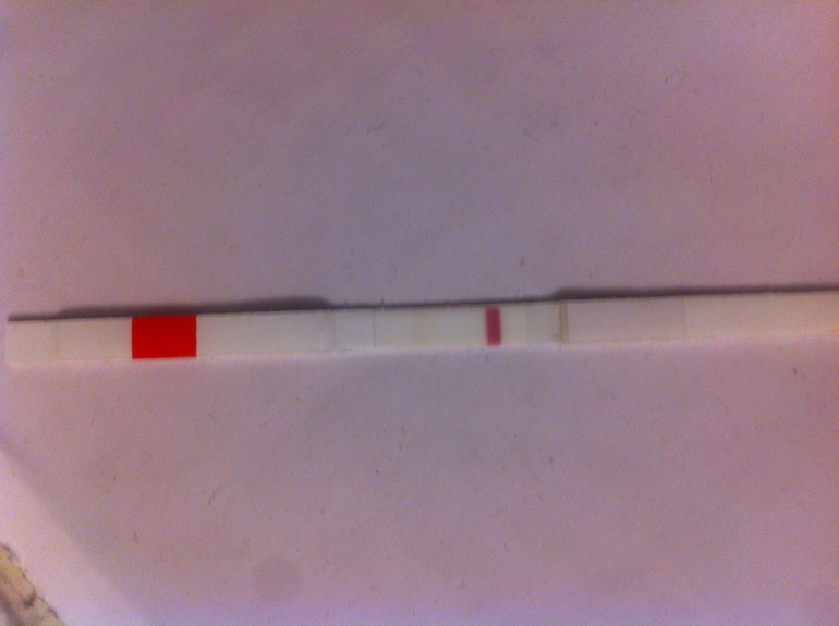 9-10 дпо фото