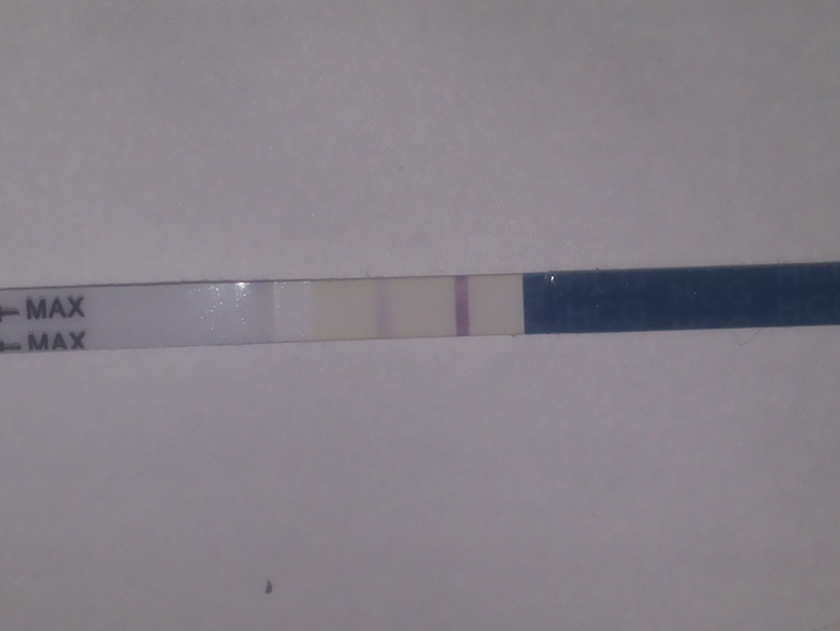 День Х (15 дпо)