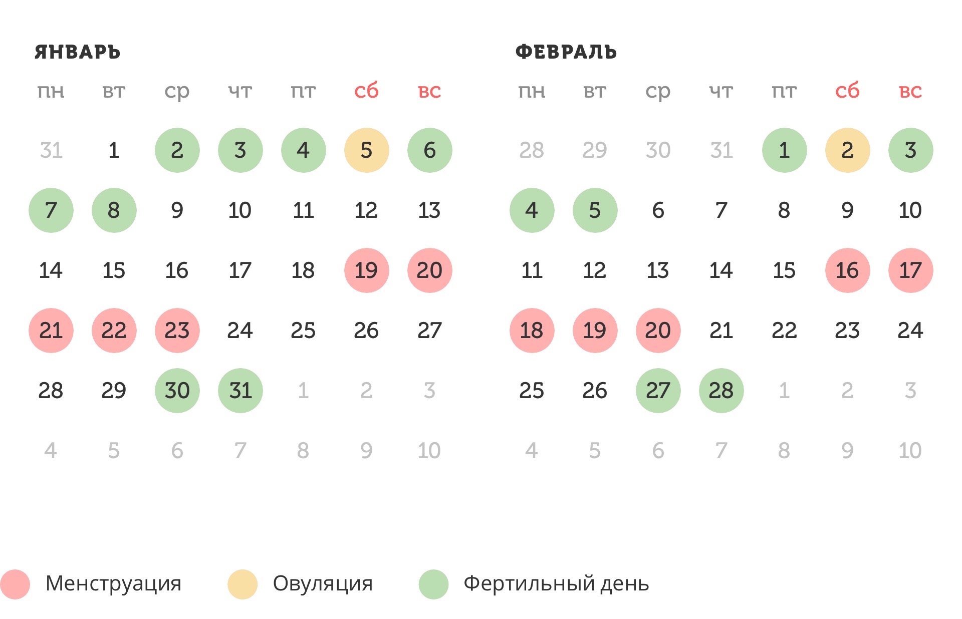 Калькулятор овуляции