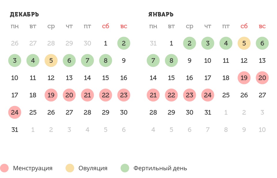 Калькулятор овуляции