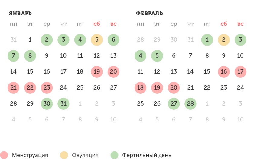 Калькулятор овуляции