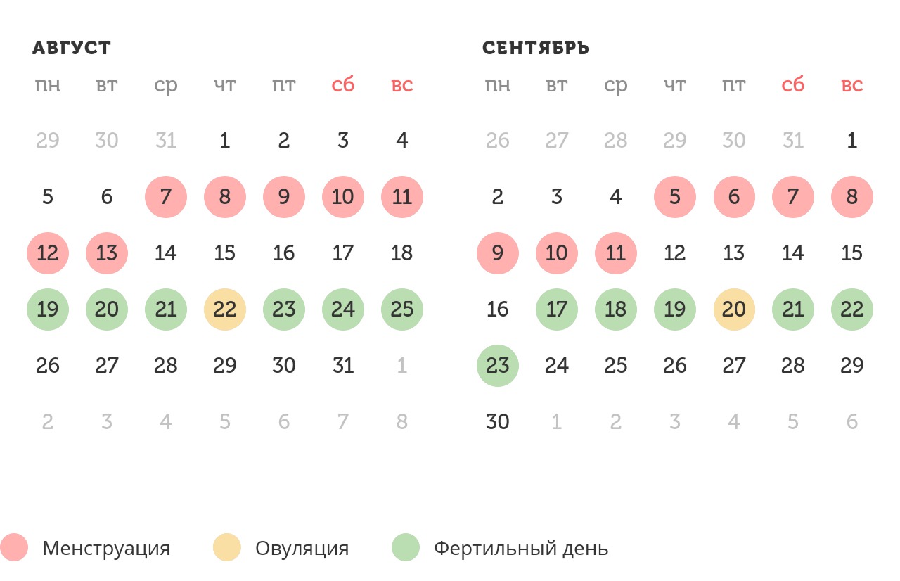 Калькулятор овуляции