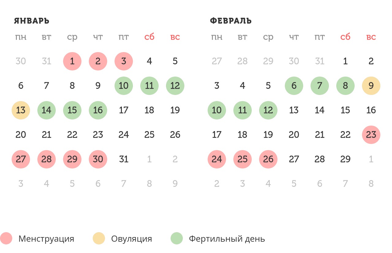 Калькулятор овуляции