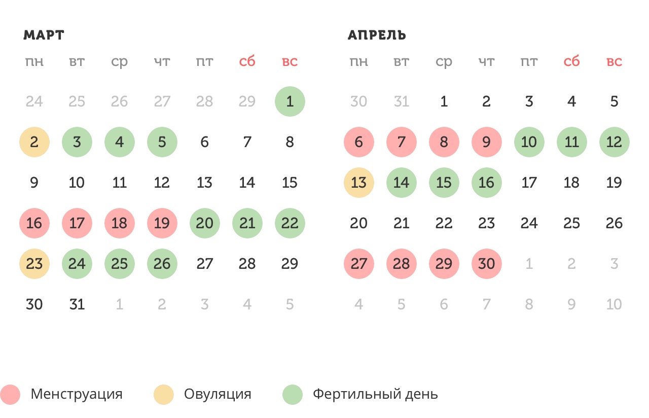 Калькулятор овуляции