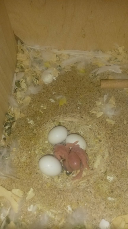 Продолжение