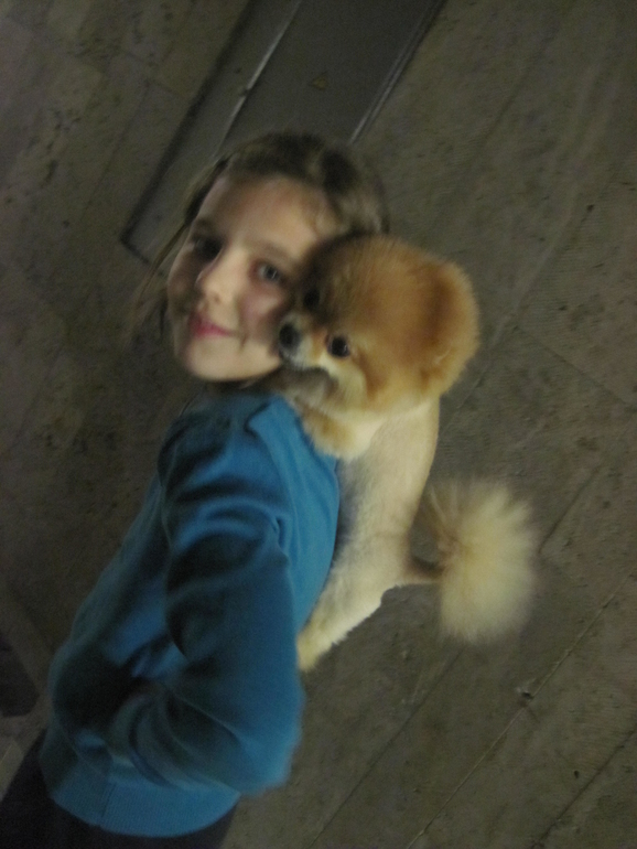 Чем больше я узнавал собак, тем больше привязывался к людям!