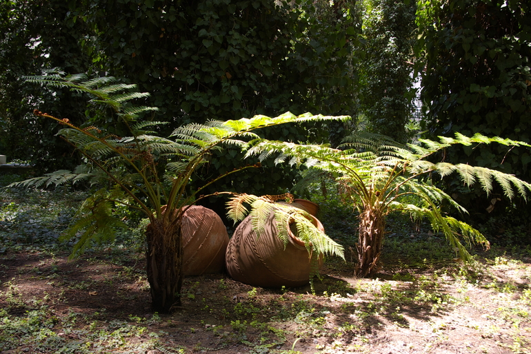 Турция, август-сентябрь 2013 г.