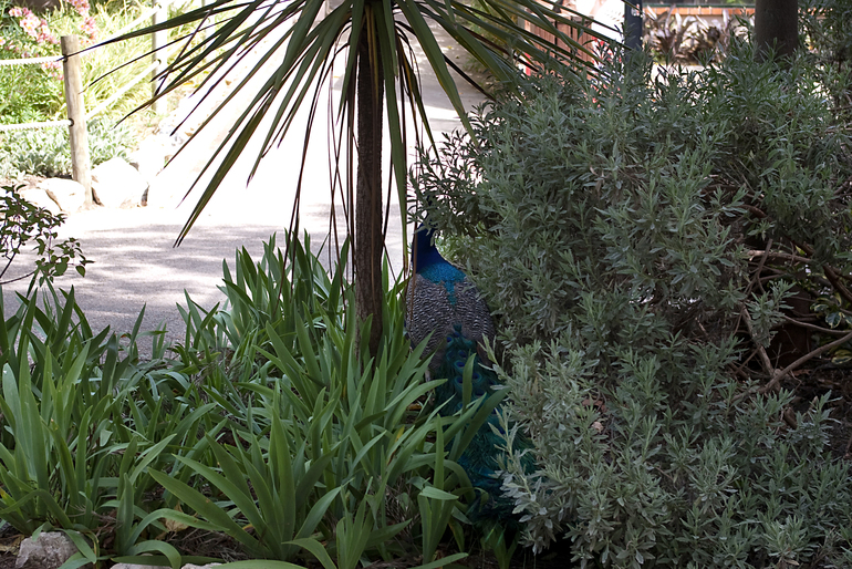 Португалия 2 часть