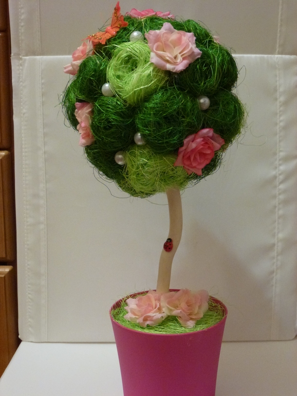 Мои первые топиарии