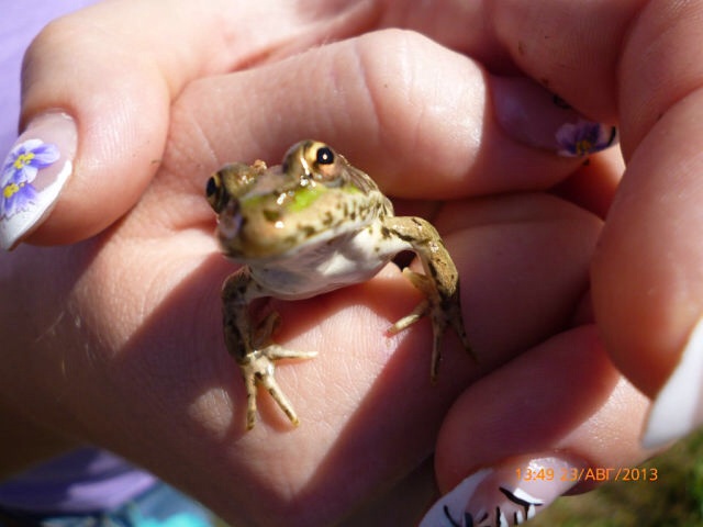 Планюшки, это вам!